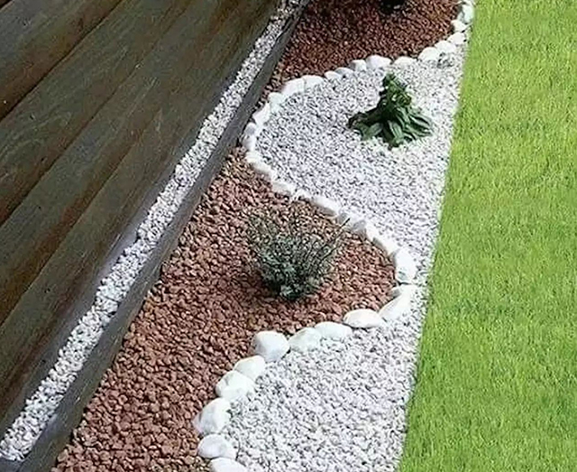 Imagen de galería