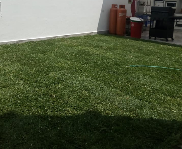 Imagen de galería