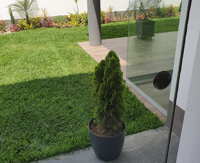 Imagen de galería